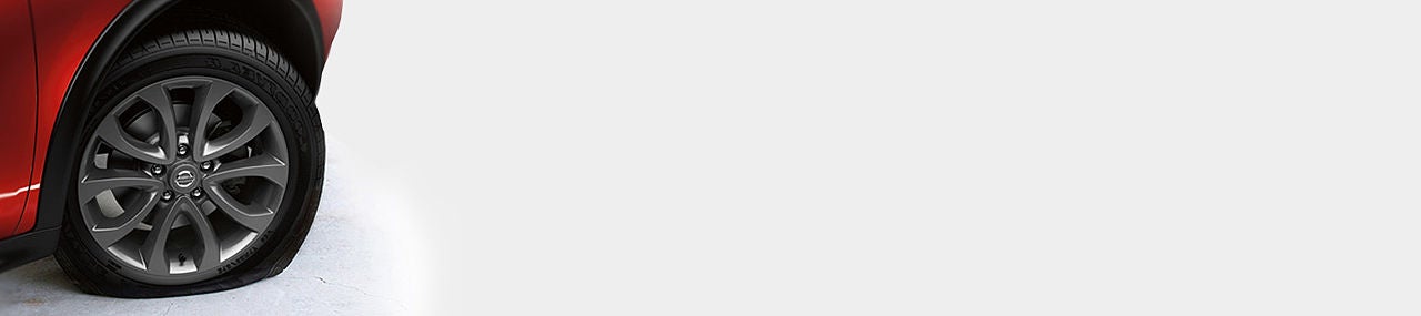 D'Addario Nissan in Shelton CT