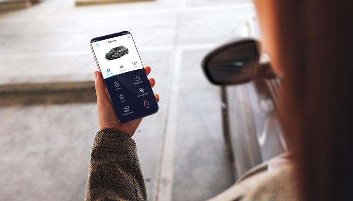 D'Addario Nissan in Shelton CT