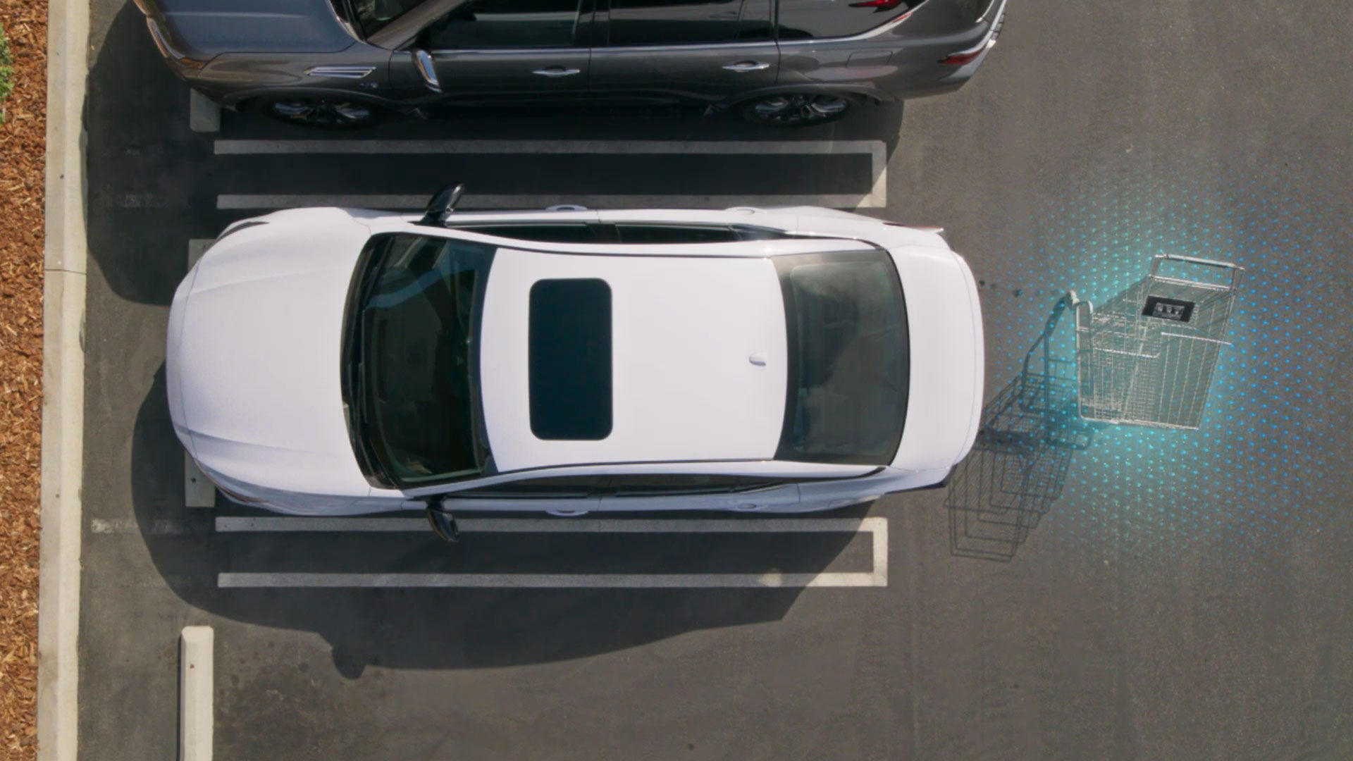 2026 Nissan Altima | D'Addario Nissan in Shelton, CT